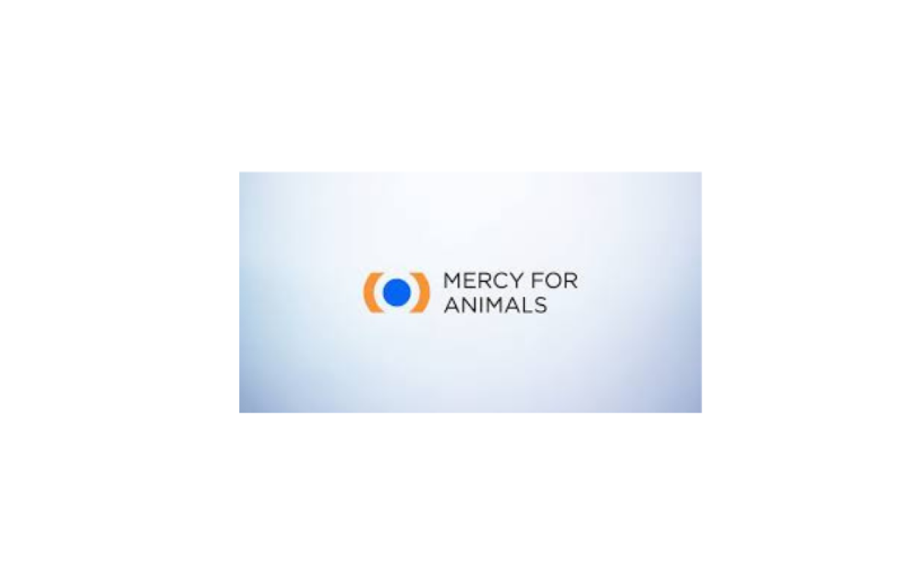 CharityWatch Mercy For Animals Charity Rating Charity Ratings